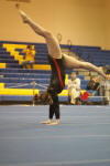 2010-AA-gymnastics037.jpg (1555693 bytes)